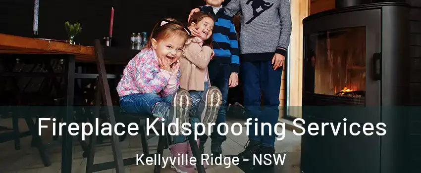 Fireplace Kidsproofing Services Kellyville Ridge - NSW