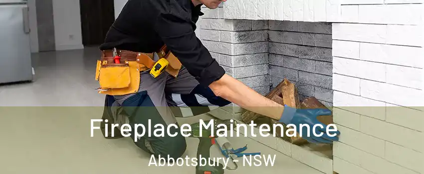 Fireplace Maintenance Abbotsbury - NSW