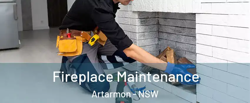 Fireplace Maintenance Artarmon - NSW