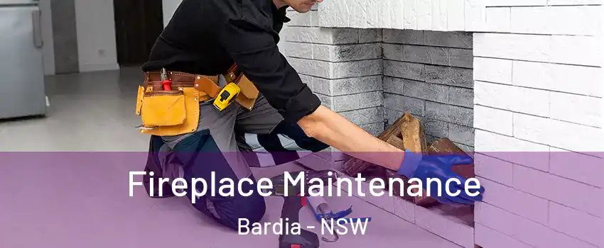 Fireplace Maintenance Bardia - NSW