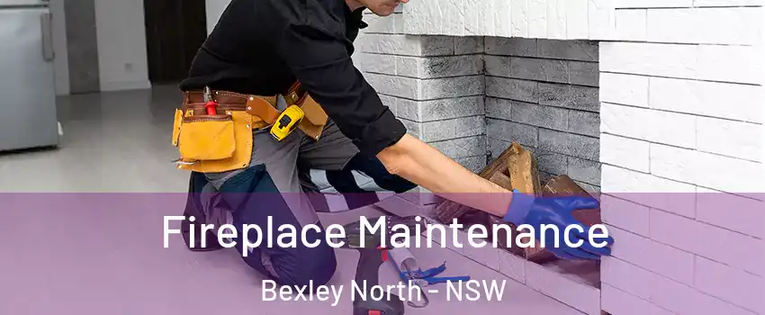 Fireplace Maintenance Bexley North - NSW