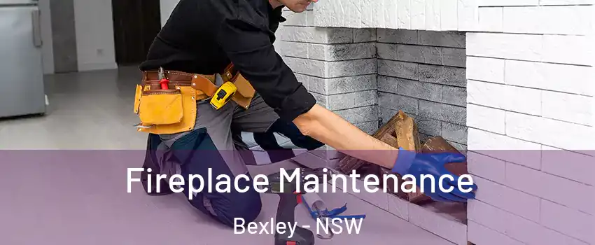 Fireplace Maintenance Bexley - NSW