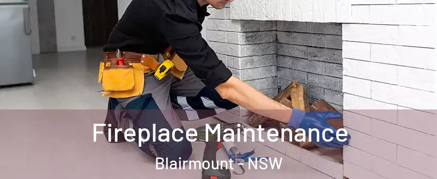 Fireplace Maintenance Blairmount - NSW