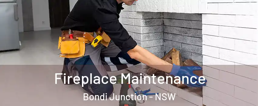 Fireplace Maintenance Bondi Junction - NSW