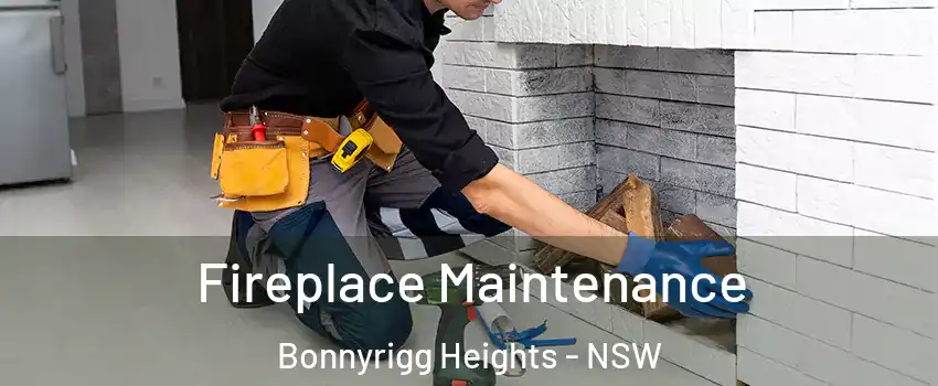 Fireplace Maintenance Bonnyrigg Heights - NSW