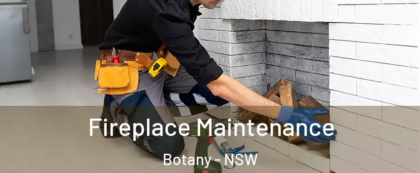 Fireplace Maintenance Botany - NSW