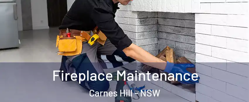 Fireplace Maintenance Carnes Hill - NSW