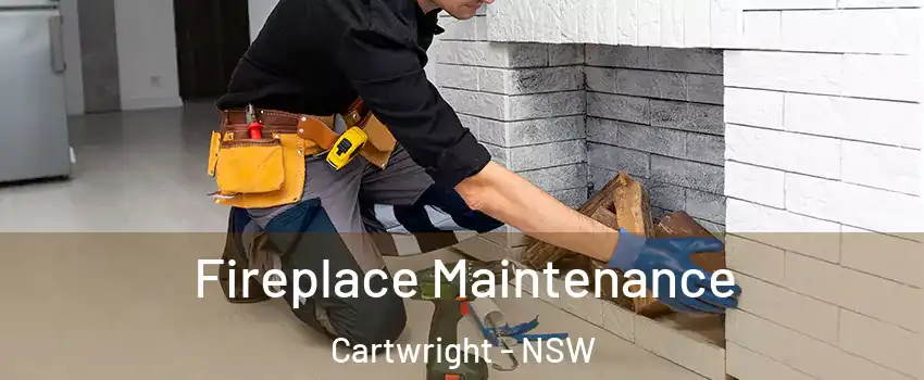 Fireplace Maintenance Cartwright - NSW