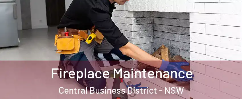Fireplace Maintenance Central Business District - NSW
