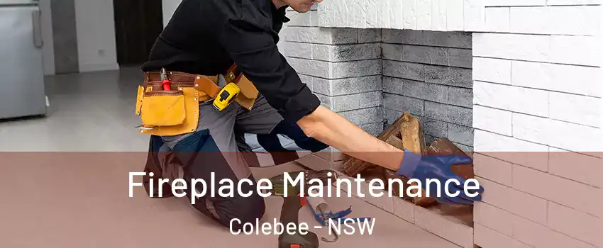 Fireplace Maintenance Colebee - NSW