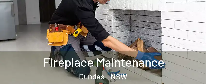 Fireplace Maintenance Dundas - NSW