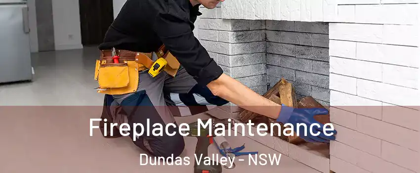 Fireplace Maintenance Dundas Valley - NSW