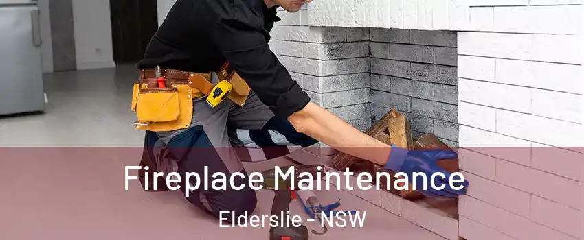 Fireplace Maintenance Elderslie - NSW