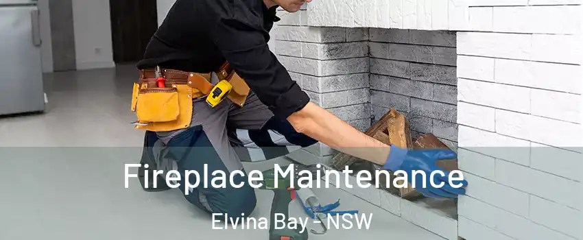 Fireplace Maintenance Elvina Bay - NSW