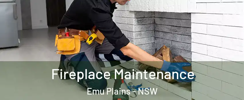 Fireplace Maintenance Emu Plains - NSW