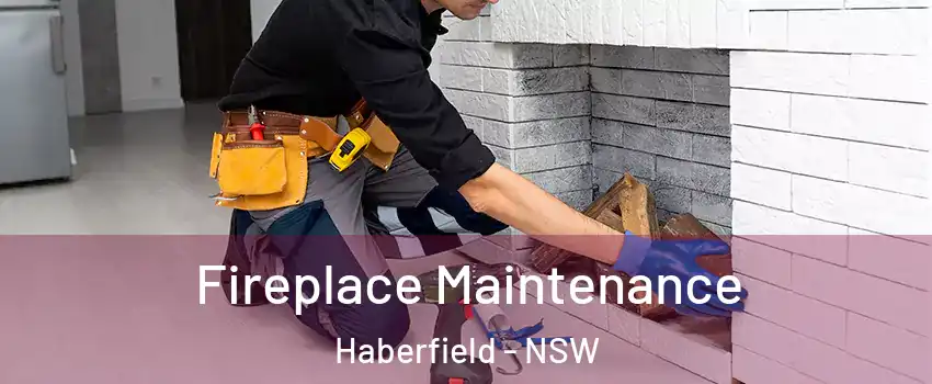 Fireplace Maintenance Haberfield - NSW