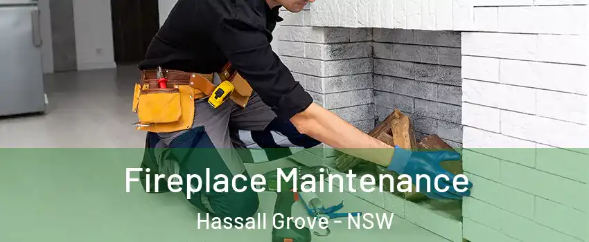 Fireplace Maintenance Hassall Grove - NSW