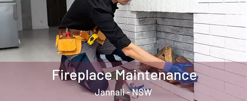 Fireplace Maintenance Jannali - NSW