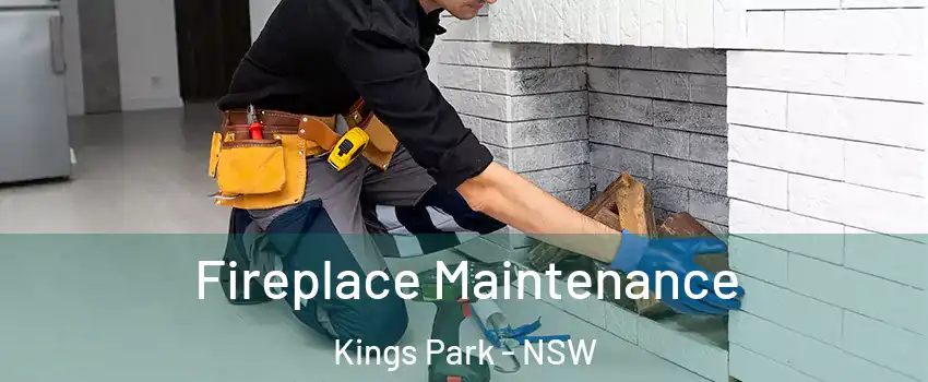 Fireplace Maintenance Kings Park - NSW