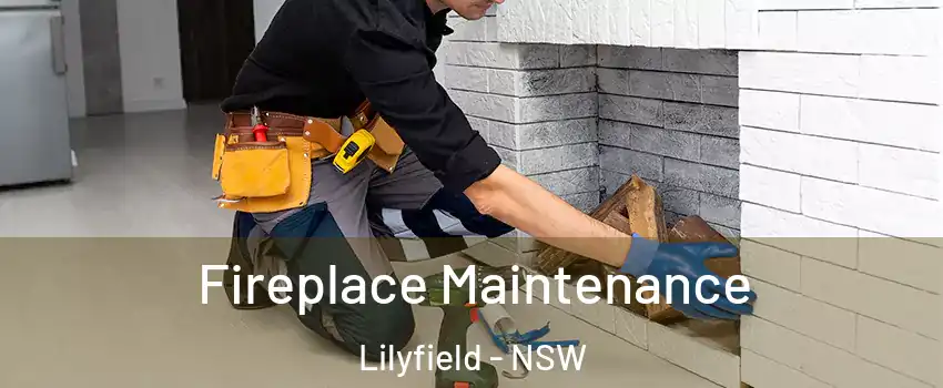 Fireplace Maintenance Lilyfield - NSW