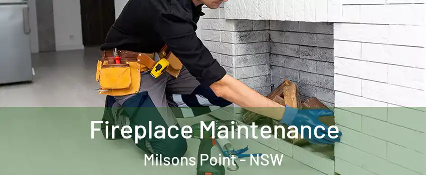 Fireplace Maintenance Milsons Point - NSW