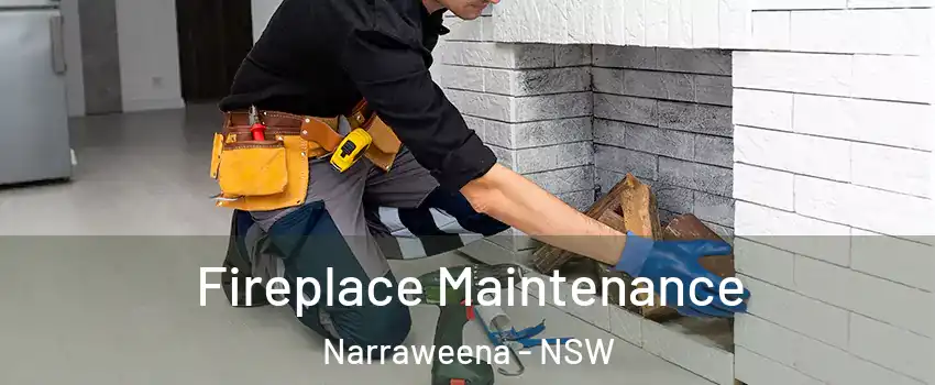 Fireplace Maintenance Narraweena - NSW