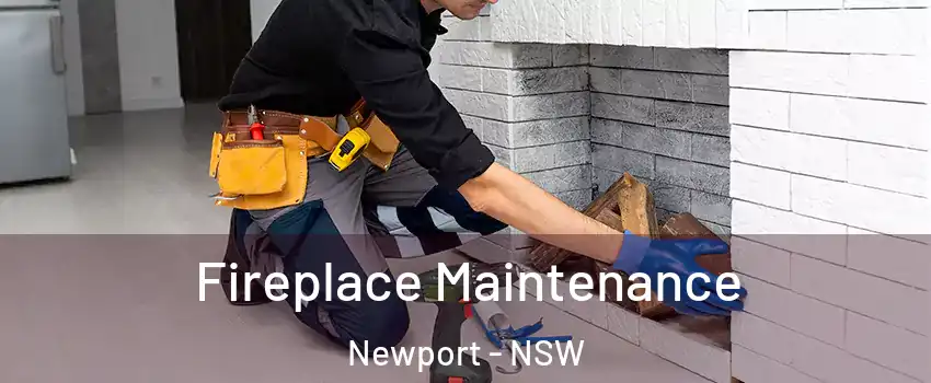 Fireplace Maintenance Newport - NSW