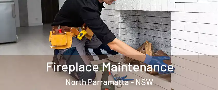 Fireplace Maintenance North Parramatta - NSW