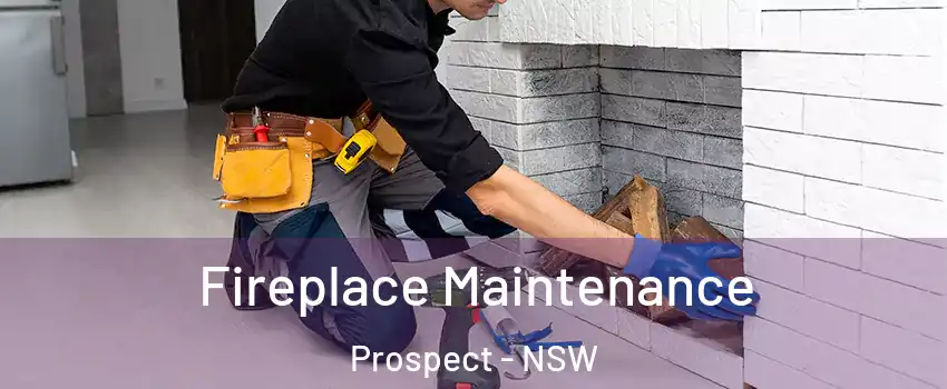 Fireplace Maintenance Prospect - NSW