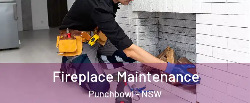 Fireplace Maintenance Punchbowl - NSW