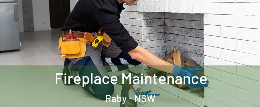 Fireplace Maintenance Raby - NSW