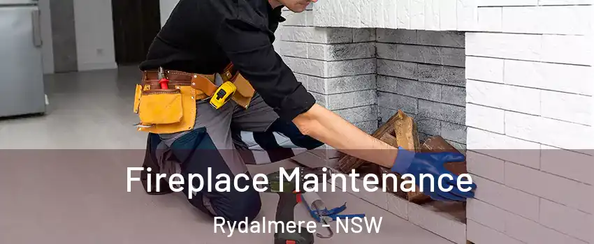 Fireplace Maintenance Rydalmere - NSW
