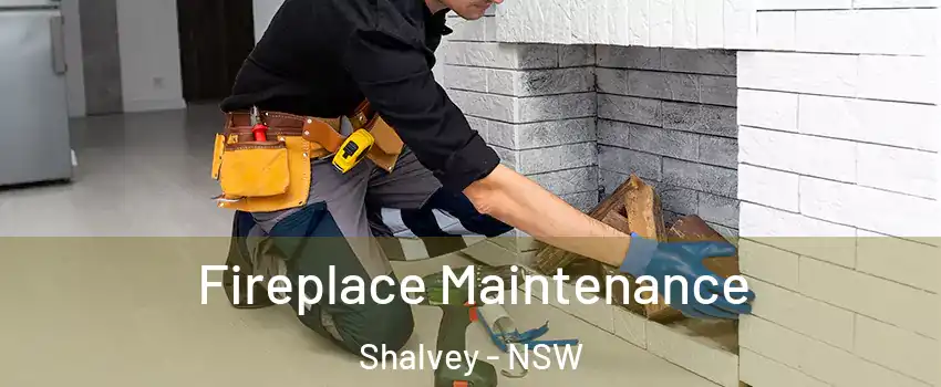 Fireplace Maintenance Shalvey - NSW