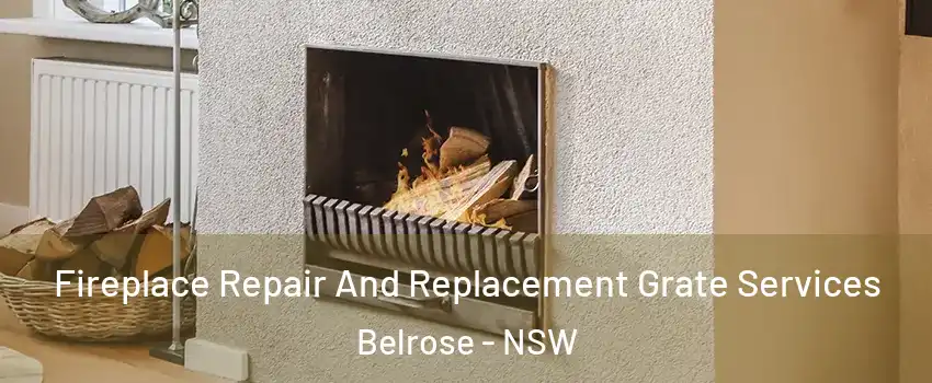 Fireplace Repair And Replacement Grate Services Belrose - NSW