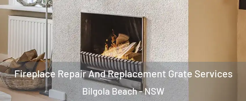 Fireplace Repair And Replacement Grate Services Bilgola Beach - NSW