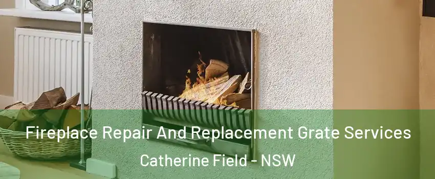 Fireplace Repair And Replacement Grate Services Catherine Field - NSW