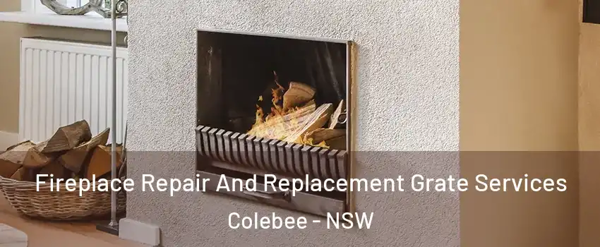 Fireplace Repair And Replacement Grate Services Colebee - NSW