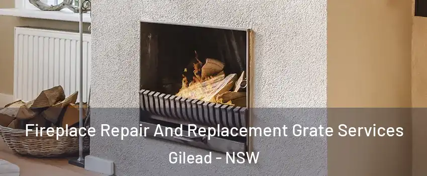 Fireplace Repair And Replacement Grate Services Gilead - NSW