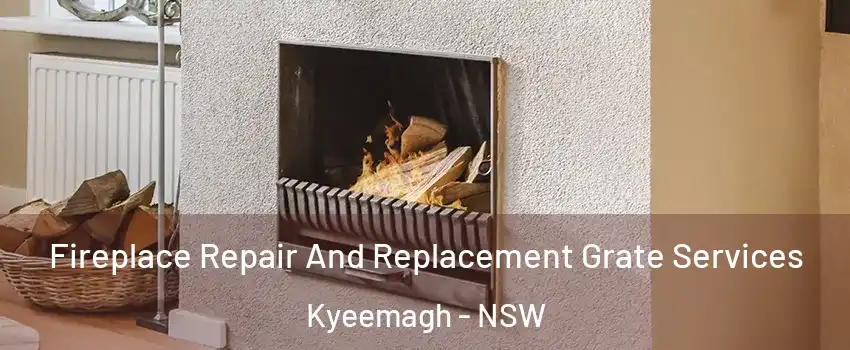 Fireplace Repair And Replacement Grate Services Kyeemagh - NSW