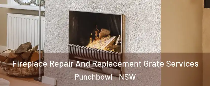 Fireplace Repair And Replacement Grate Services Punchbowl - NSW