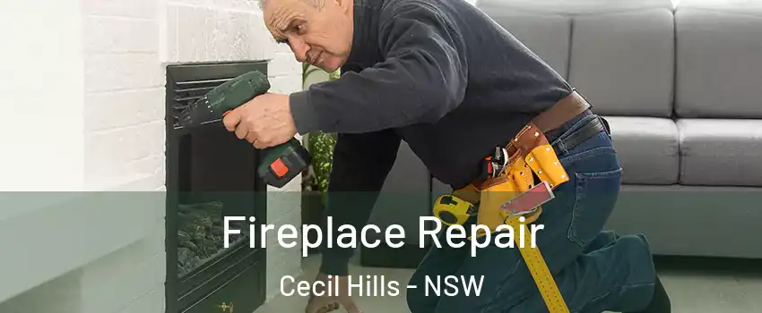 Fireplace Repair Cecil Hills - NSW