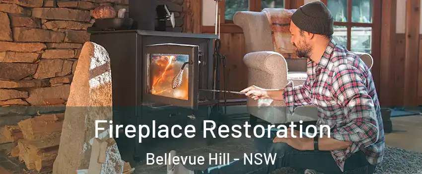 Fireplace Restoration Bellevue Hill - NSW
