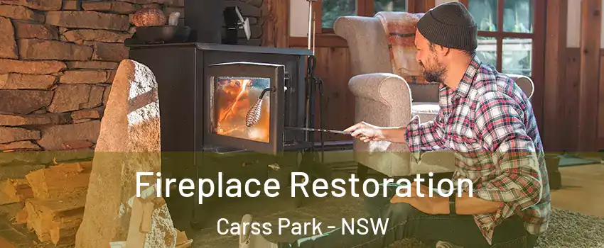 Fireplace Restoration Carss Park - NSW
