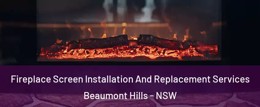 Fireplace Screen Installation And Replacement Services Beaumont Hills - NSW