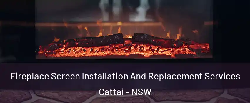 Fireplace Screen Installation And Replacement Services Cattai - NSW