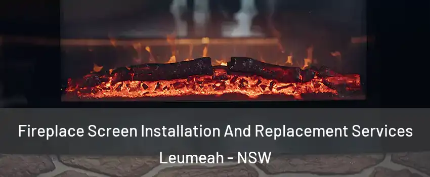 Fireplace Screen Installation And Replacement Services Leumeah - NSW