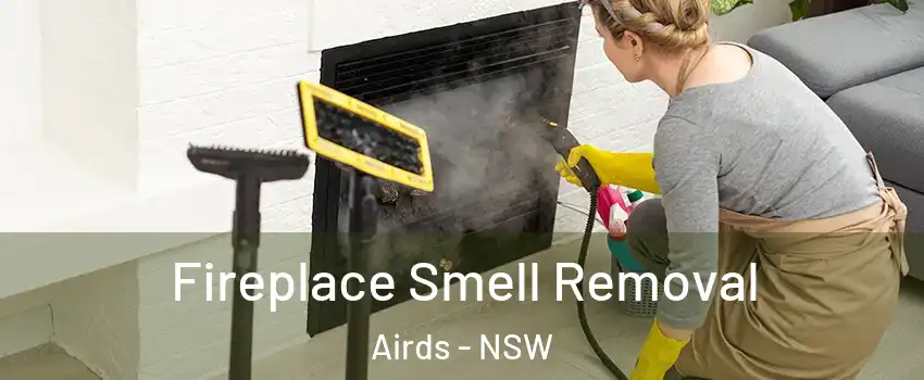 Fireplace Smell Removal Airds - NSW