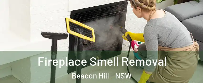  Fireplace Smell Removal Beacon Hill - NSW