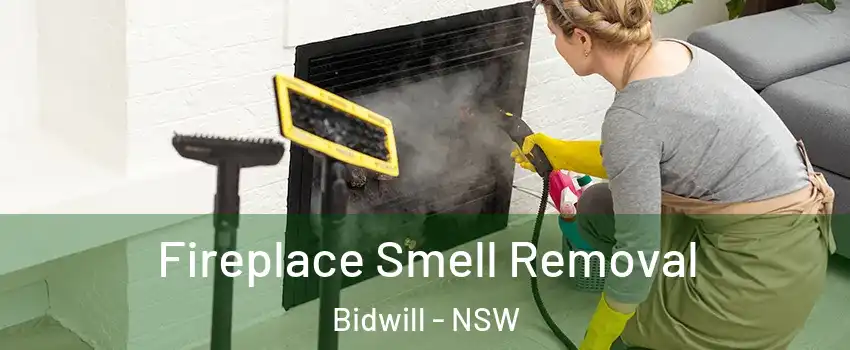 Fireplace Smell Removal Bidwill - NSW