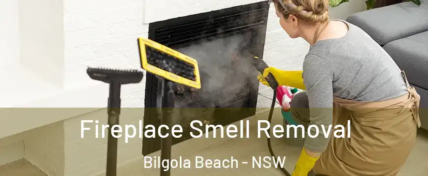 Fireplace Smell Removal Bilgola Beach - NSW